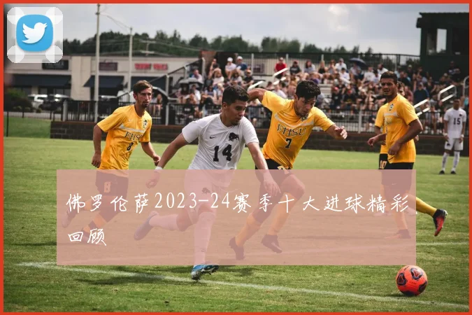 佛罗伦萨2023-24赛季十大进球精彩回顾