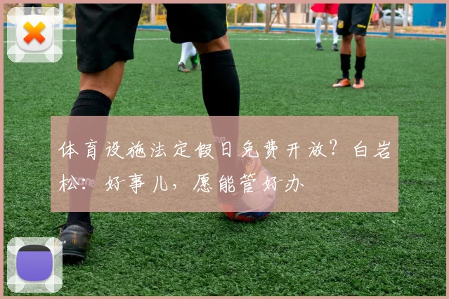 体育设施法定假日免费开放？白岩松：好事儿，愿能管好办