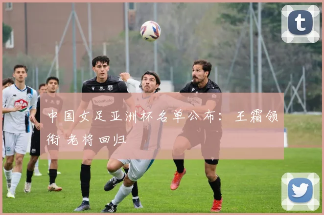 中国女足亚洲杯名单公布：王霜领衔 老将回归